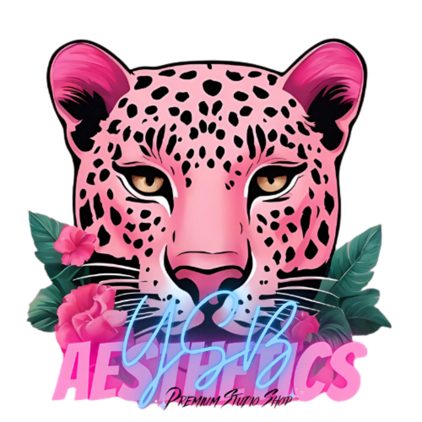 YSB AESTHETICS WORLD